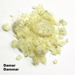 Dammar