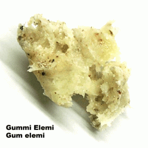 Gummi Elemi