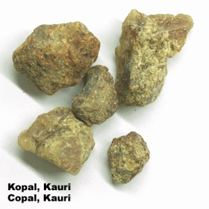 Kopal, Kauri (n.l.)