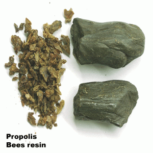 Propolis