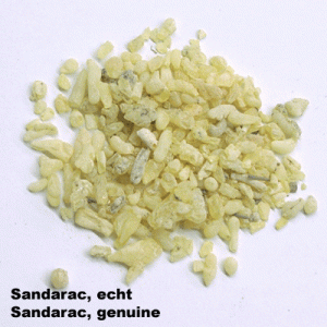 Gum Sandarac