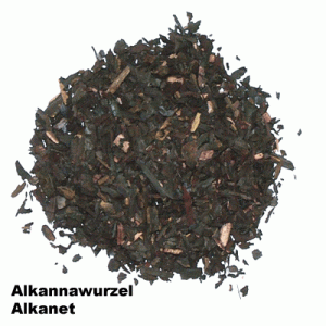 Alkannawurzel