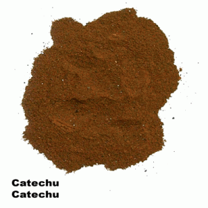 Catechu