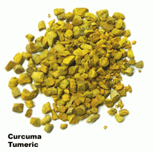 Curcuma